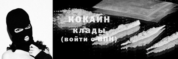 шишки Беломорск