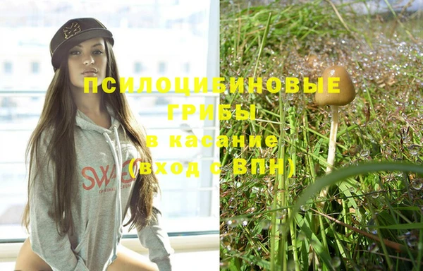 шишки Беломорск