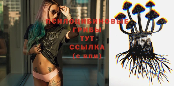 амф Белоозёрский