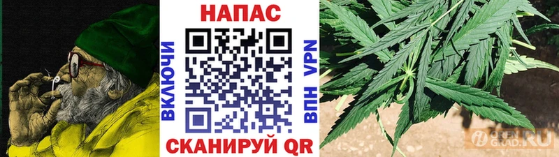 магазин продажи   Муравленко  Каннабис OG Kush 
